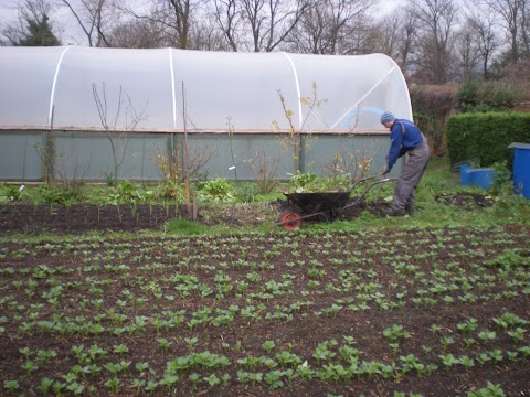 Norfolk Park Community Garden