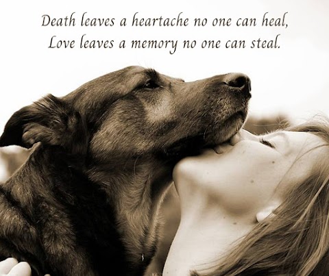 Cheshire Pet Bereavement