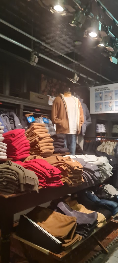 Hollister Co.