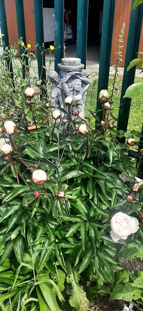 Garden Of Flowers Fettercairn