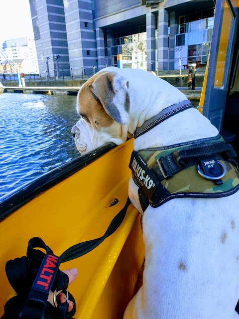 Water Taxi