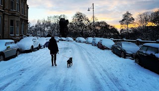 Kelvingrove Dogs