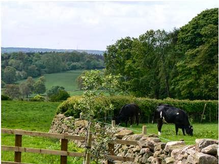 Slate Rigg Farm