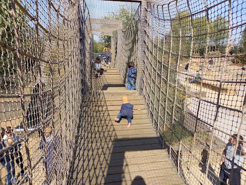 Tumbling Bay Playground