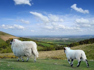 SRUC - Scotland's Rural College - Edinburgh Campus