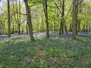 Wanstead Park