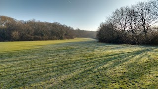 Wapley Allotments