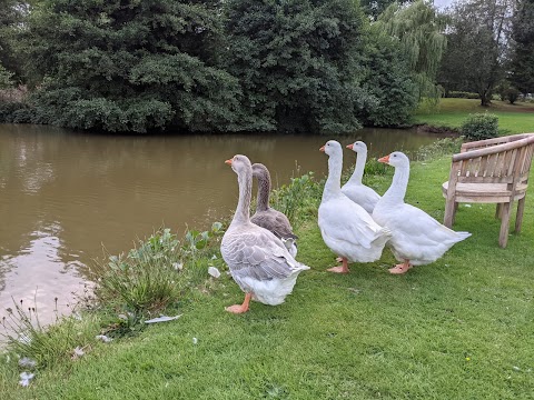 Blackbrook Lodge Caravanning, Camping & Glamping