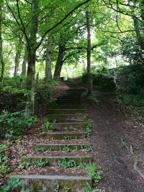 Haughton Dale Nature Reserve