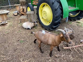 Queen's park children's farm