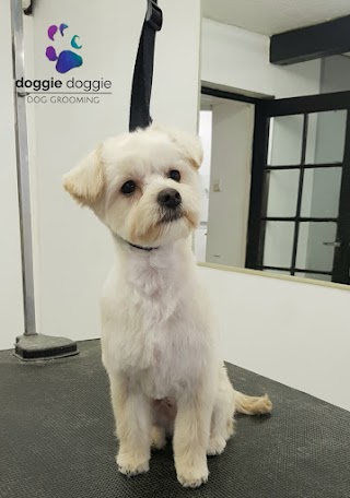 DOGGIE DOGGIE Dog Grooming Salon