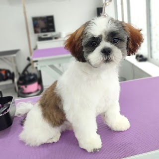 Milo Grooming Studio