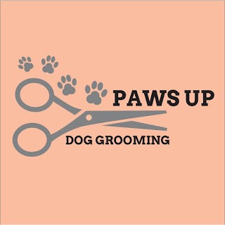 Paws Up Dog Grooming