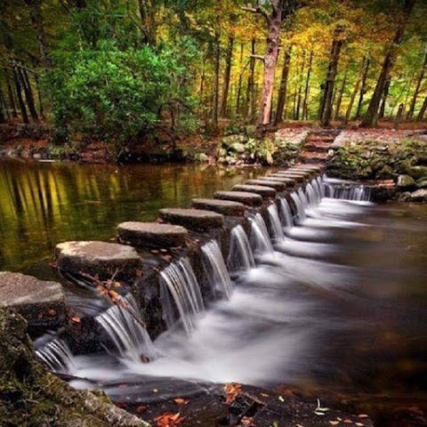 Tollymore Forest Park