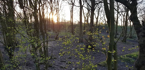 Blackleach Country Park