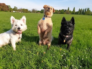 The Dog Walker Leicester