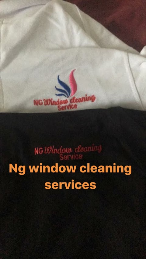 Ng window cleaning services