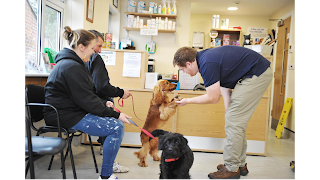 Willows Veterinary Group - Middlewich Veterinary Surgery