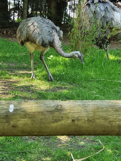 Birmingham Wildlife Conservation Park