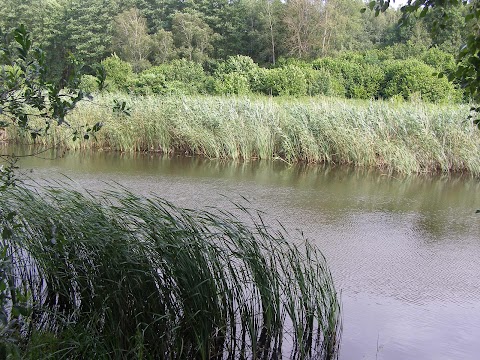 Регіональний ландшафтний парк "Ніжинський"