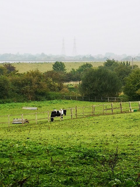 Lee Valley Campsite, Sewardstone