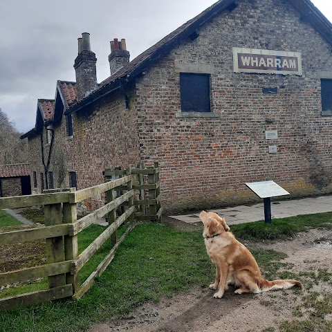 Wharram Percy Deserted Medieval Village