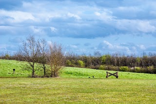 Bedfont Lakes Country Park