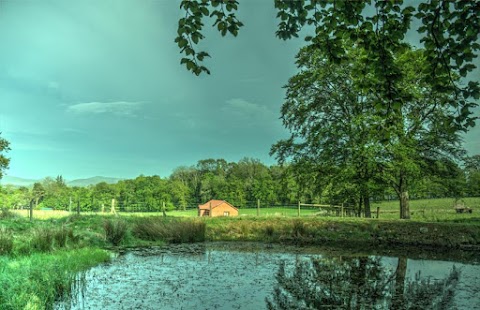 Belstane Log Cabin