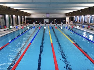 Nautilus Swimming