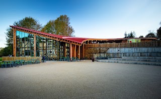 RSPB Sherwood Forest and Budby South Forest