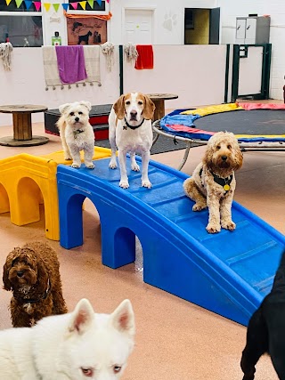 Precious Paws Stay & Play Doggy Daycare