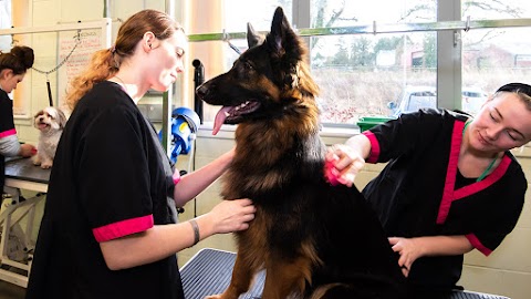 Easton College Dog Grooming Salon