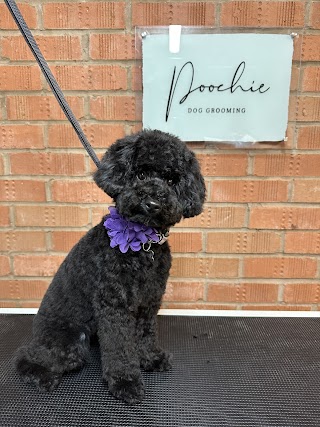 Poochie Dog Grooming