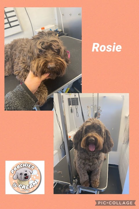 Poochies and Cream Dog Grooming