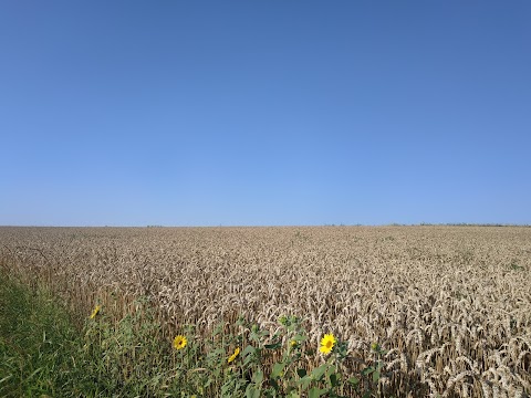 Хрест встановлений з нагоди здобуття Україною незалежності