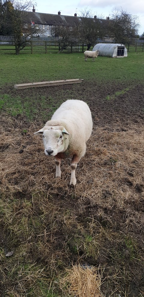 East Hull Community Farm