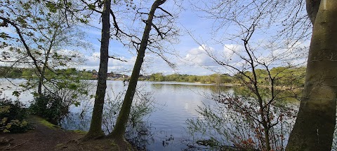 Petersfield Boats