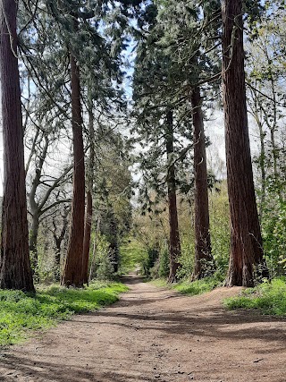 Havering Country Park