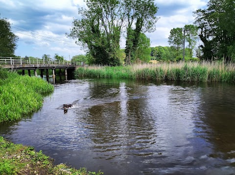 Ringland River Green