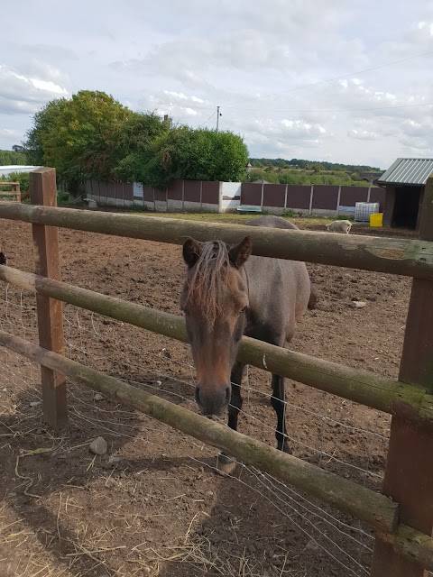 Pimhole Community Farm