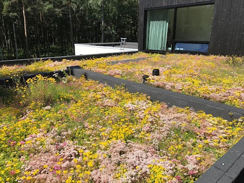 The Green Roof Company