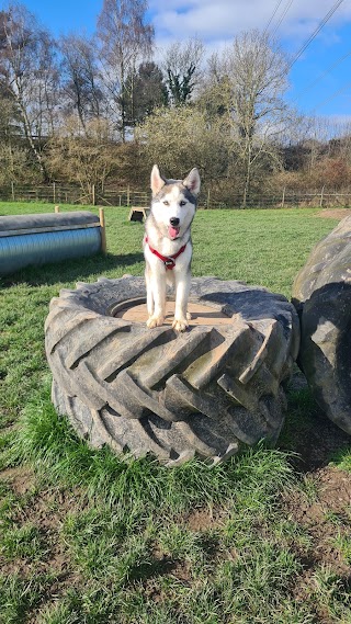 Pawsome Paddock Dog Park