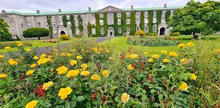 Maynooth University