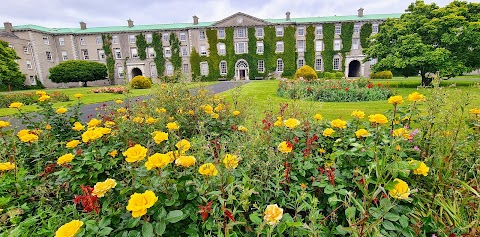 Maynooth University