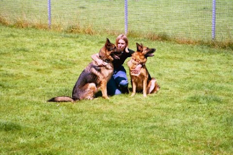 Chilworth Kennels and Cattery