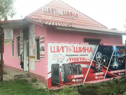 Шипшина