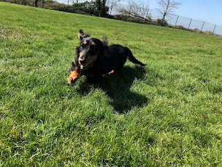 Harvington Kennels & Cattery