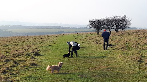 Waterlooville Woof Walks