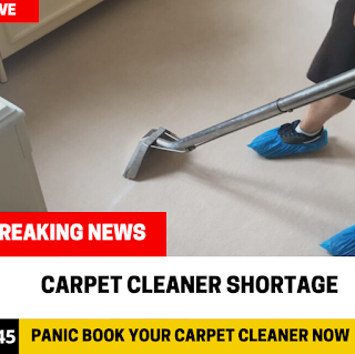 Best Local Carpet Cleaners