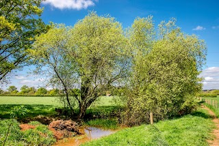 Rook's Nest Wood Country Park